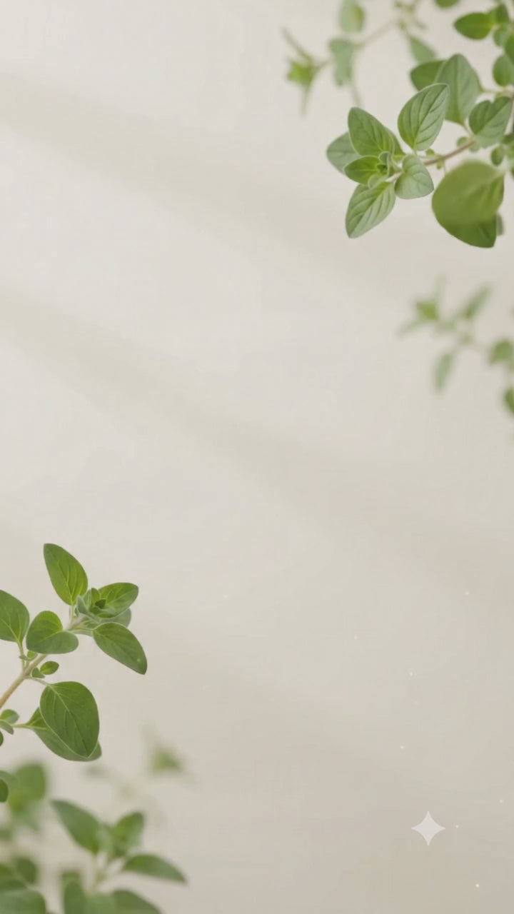 Oil of Oregano – Defensa Natural y Bienestar Integral